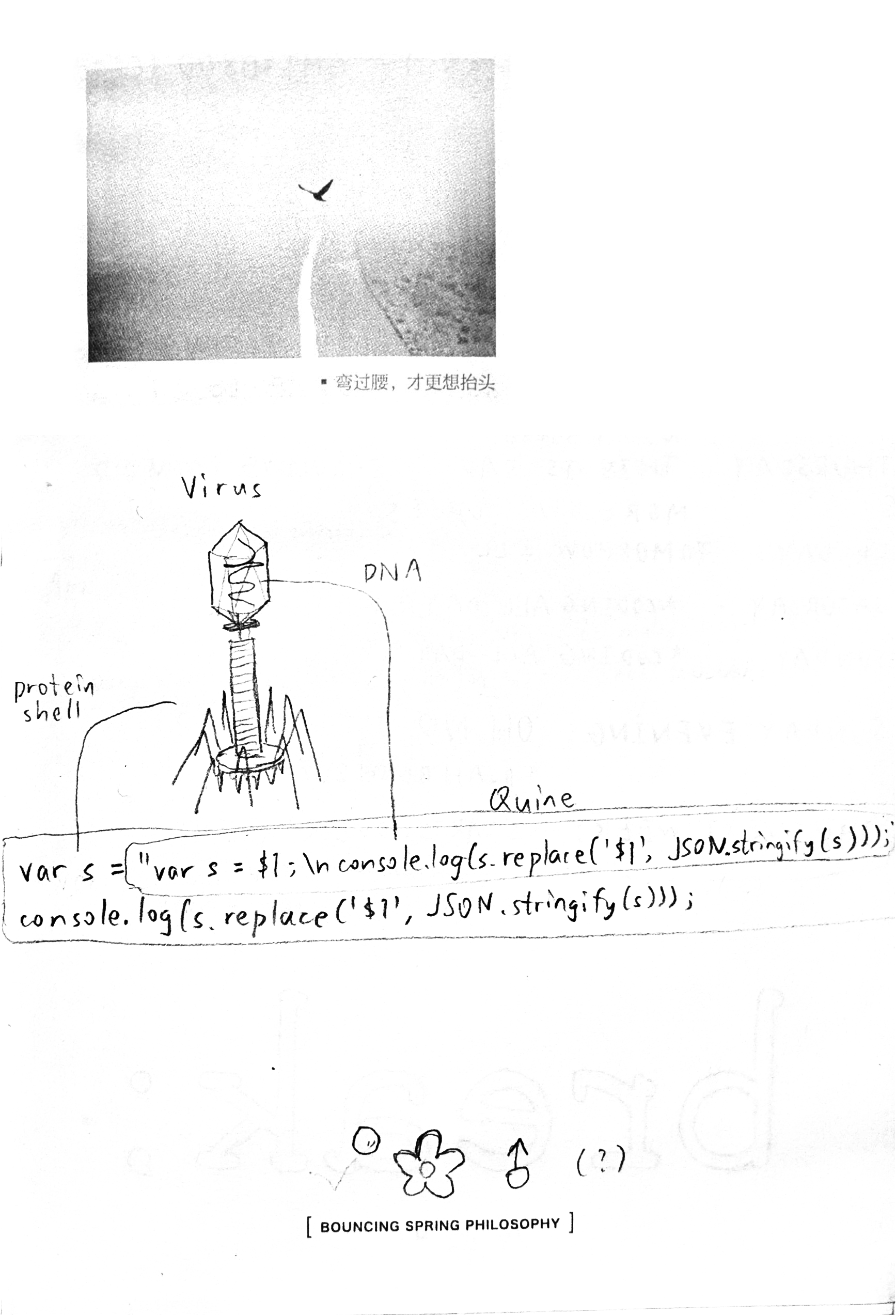 Hand-drawn diagram of a virus and the code of a JavaScript quine program: var s = "var s = $1;\nconsole.log(s.replace('$1', JSON.stringify(s))); console.log(s.replace('$1', JSON.stringify(s))); 